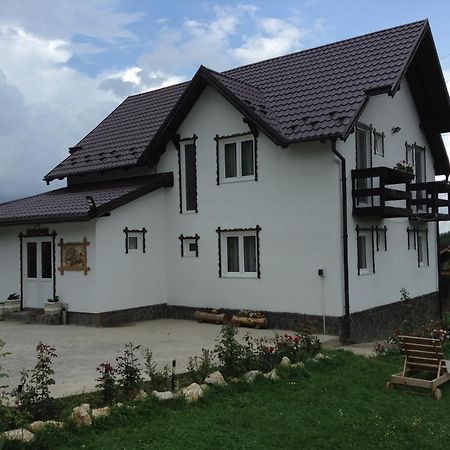 Elder Villa Bran  Buitenkant foto