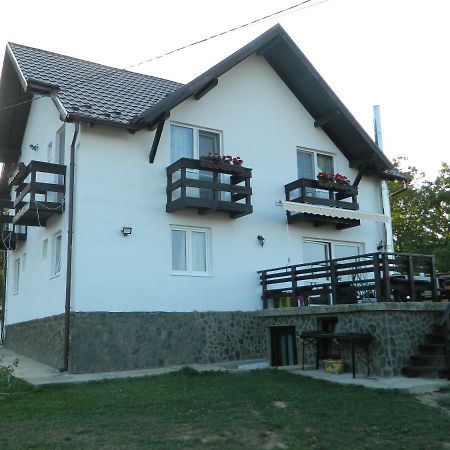 Elder Villa Bran  Buitenkant foto