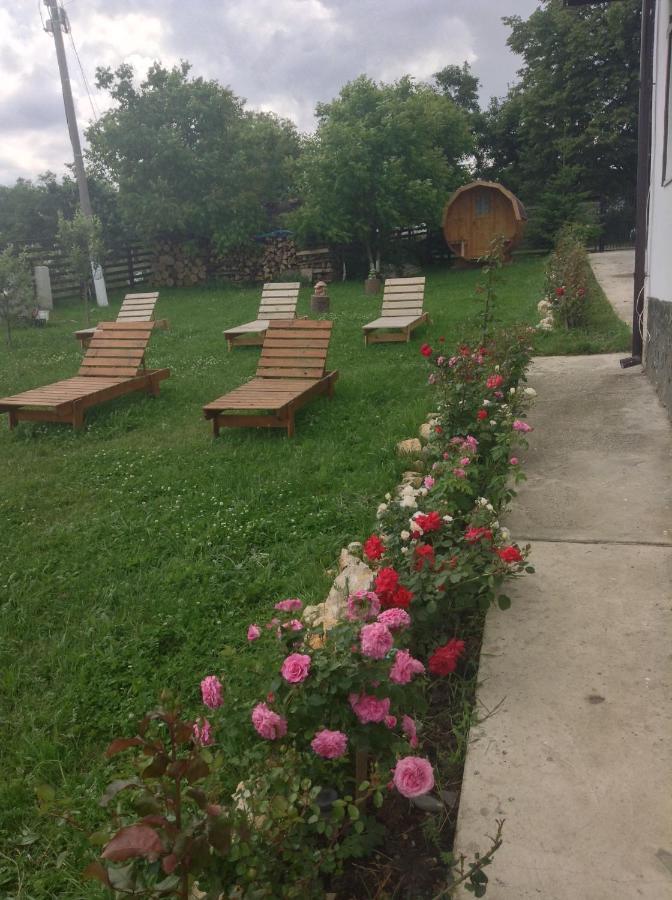 Elder Villa Bran  Buitenkant foto