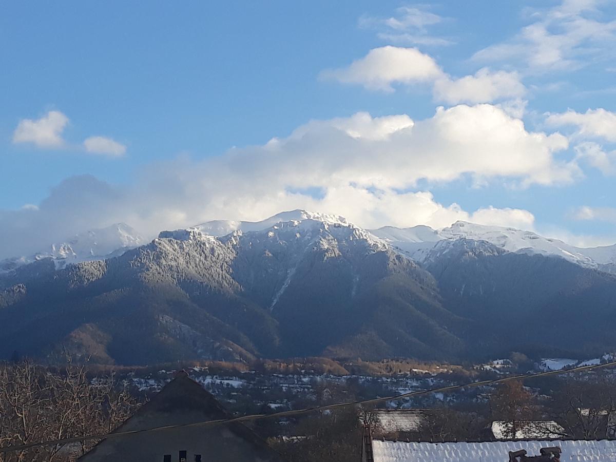Elder Villa Bran  Buitenkant foto