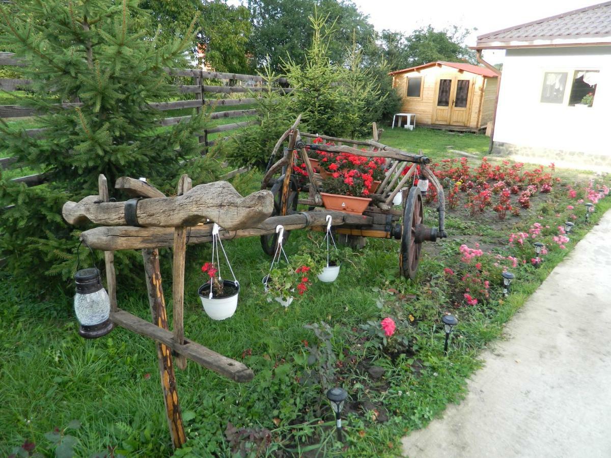 Elder Villa Bran  Buitenkant foto