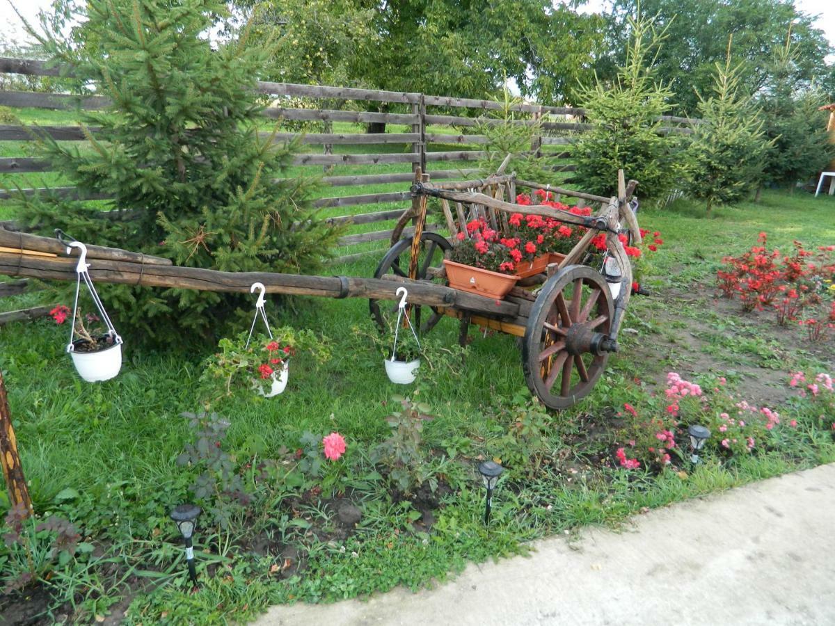 Elder Villa Bran  Buitenkant foto